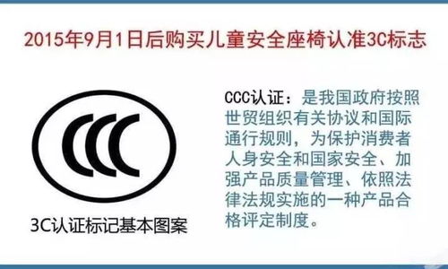 安全座椅肩带居然要随季节调整,不然比不用还危险